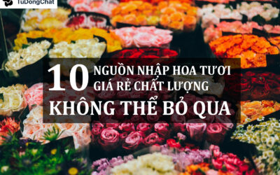 10+ Nguồn nhập hoa tươi giá rẻ, chất lượng không thể bỏ qua