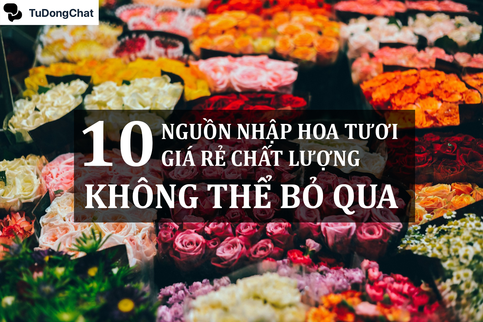 10+ Nguồn nhập hoa tươi giá rẻ, chất lượng không thể bỏ qua