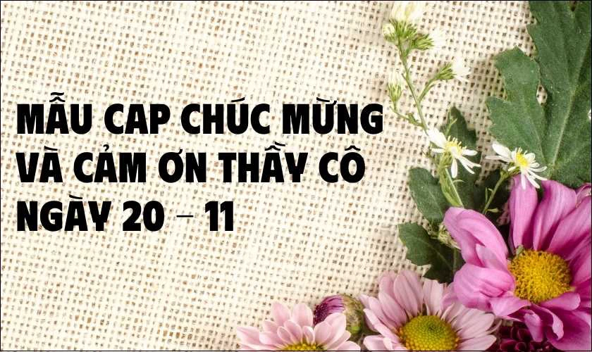 100+ STT bán hàng 20/11 cực hấp dẫn