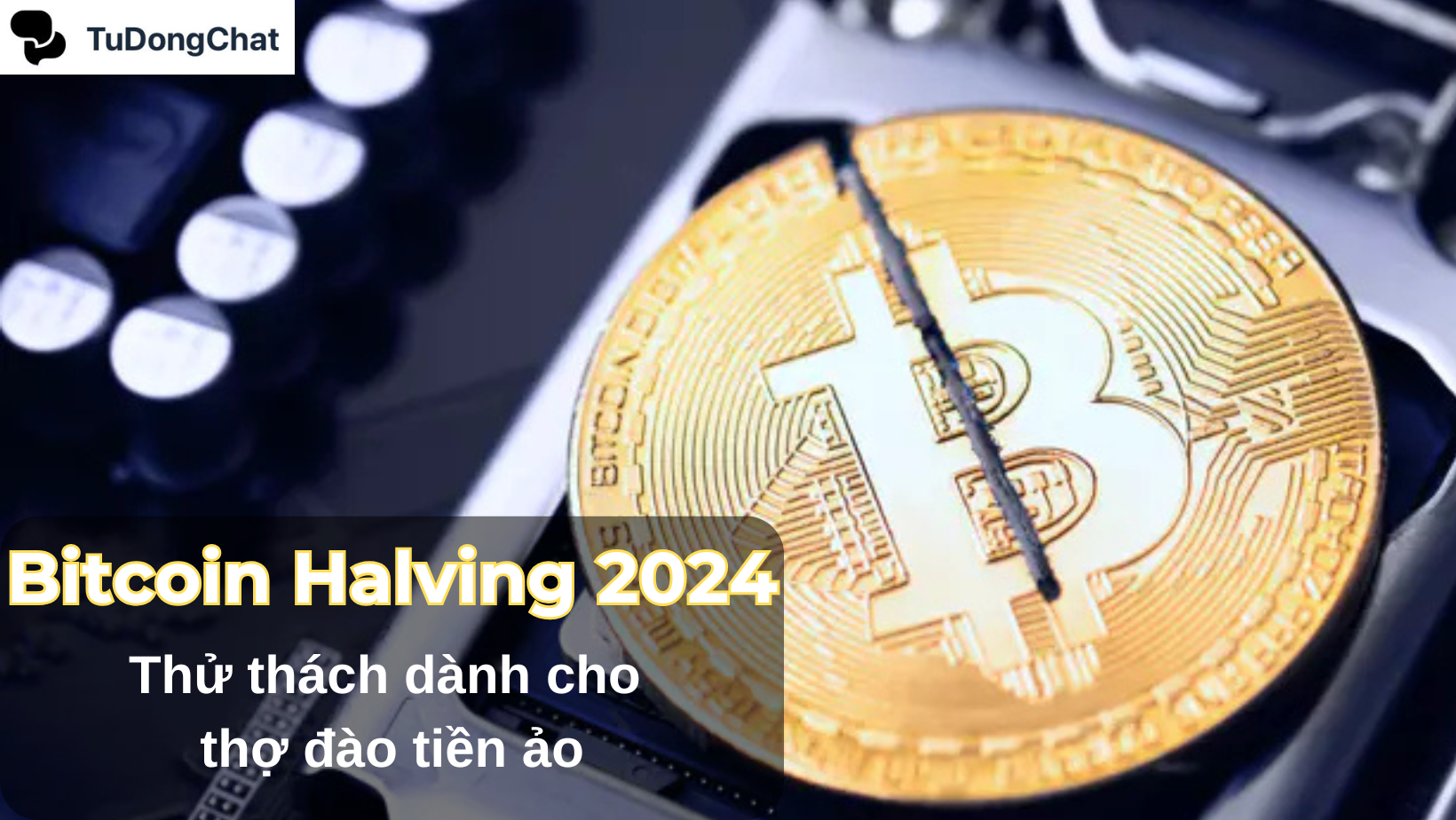 Bitcoin halving 2024