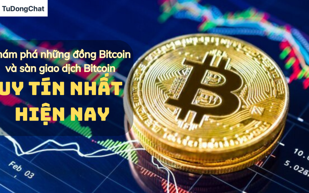 Những đồng Coin và sàn giao dịch Bitcoin uy tín nhất hiện nay