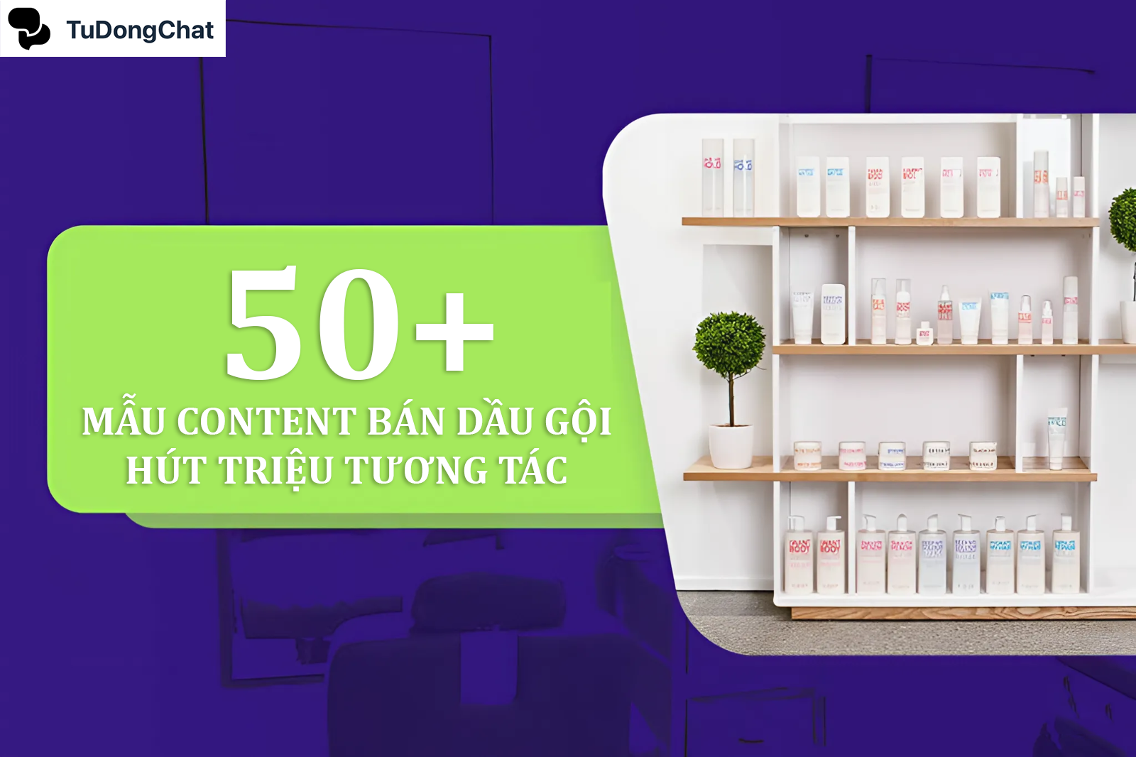 50+ Mẫu content bán dầu gội ấn tượng, hút triệu tương tác