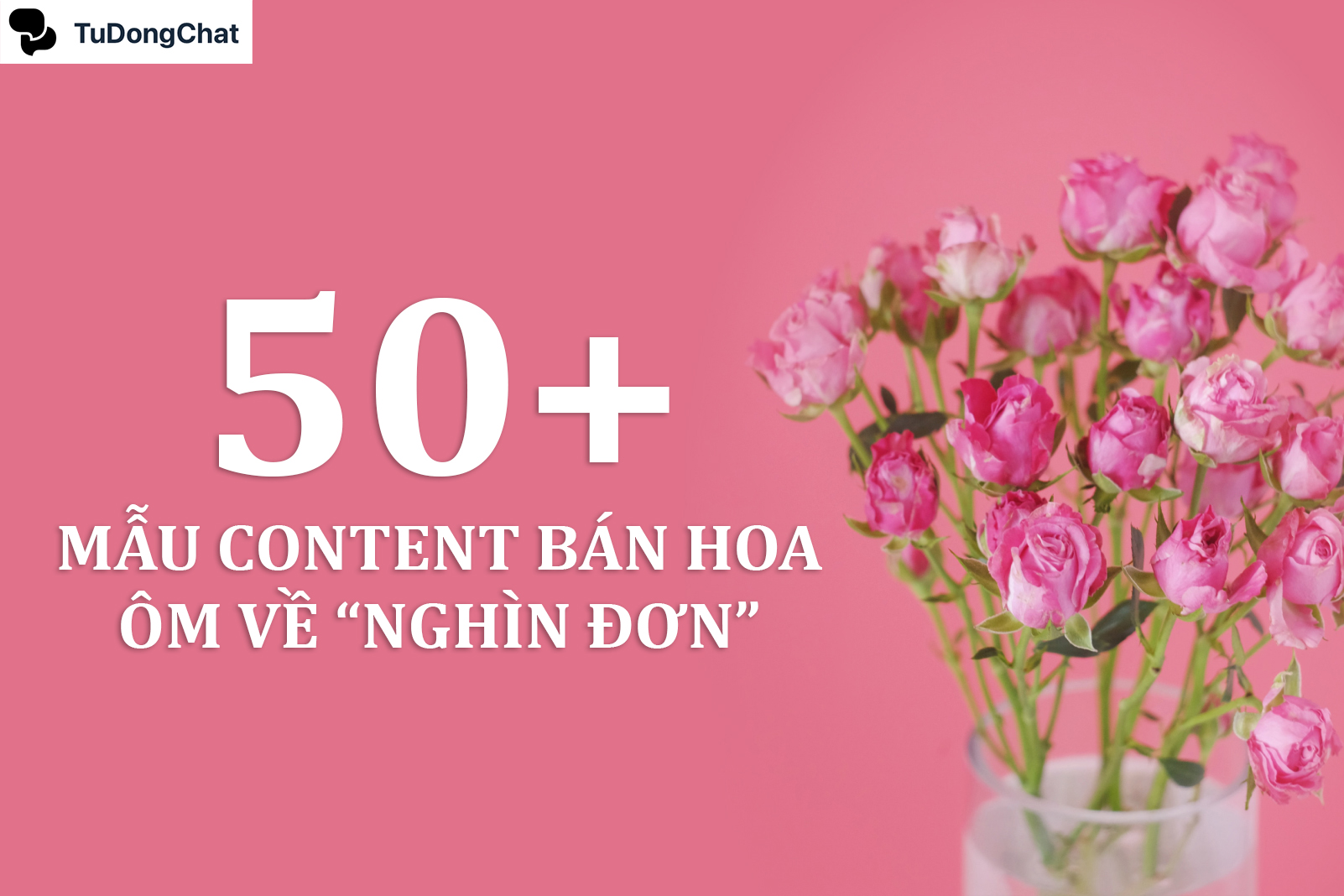 50+ Mẫu content bán hoa giúp chủ shop ôm về “Nghìn đơn”