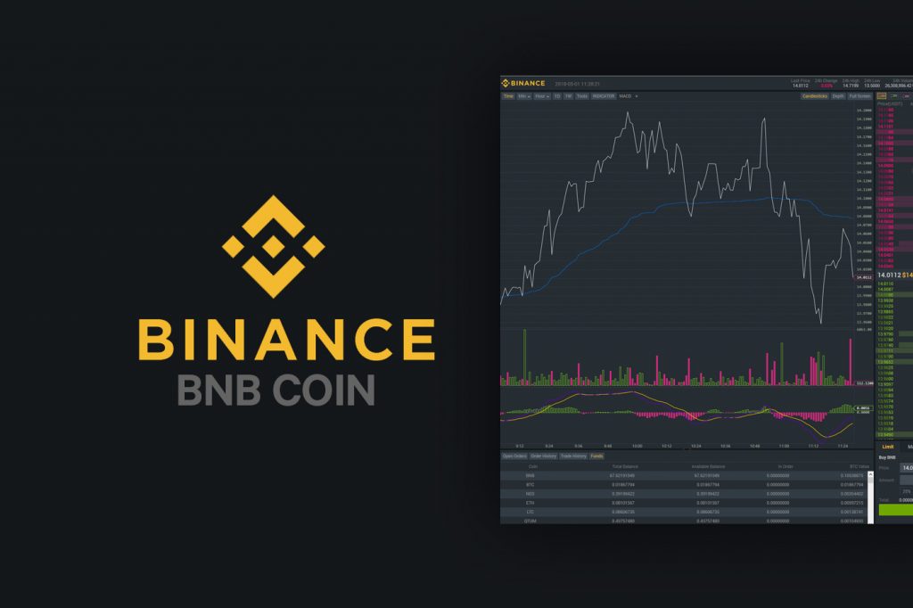 binance coin 6