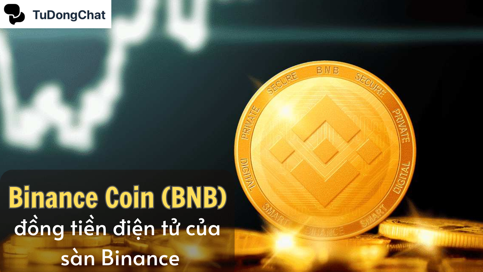 Đồng Binance Coin (BNB)