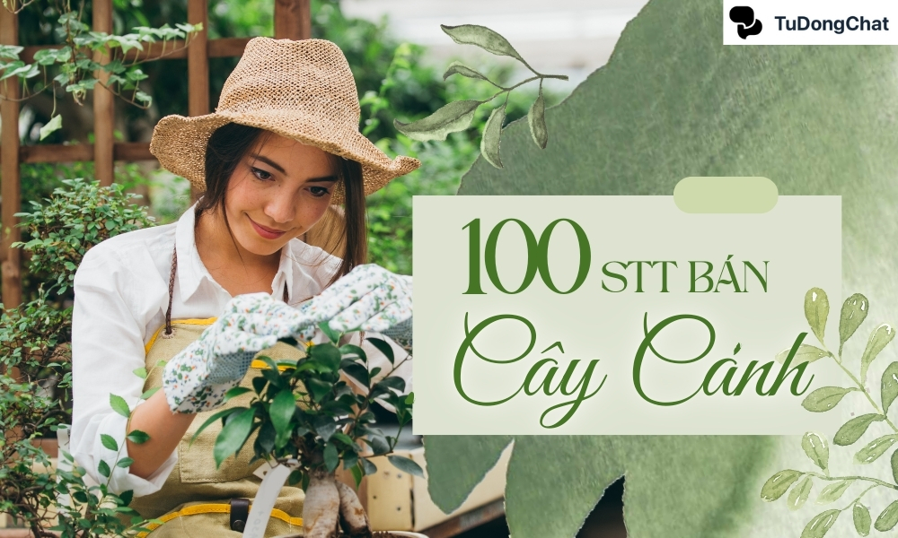 100+ STT bán cây cảnh ấn tượng giúp chủ shop “Hái ra tiền”