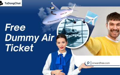 A Step-by-Step Guide to Obtaining a Free Dummy Air Ticket