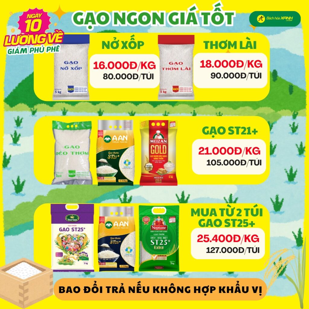 200+ Mẫu content bán gạo độc đáo thu hút TRIỆU khách hàng 128 Mẫu content bán gạo độc đáo hút khách