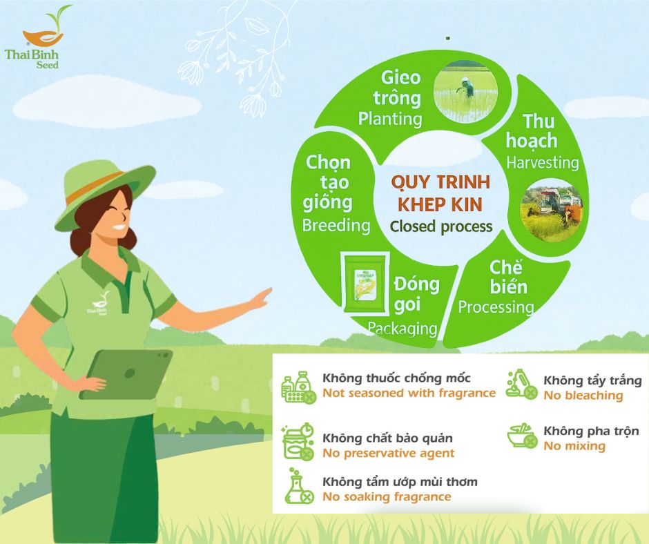 200+ Mẫu content bán gạo độc đáo thu hút TRIỆU khách hàng 179 Mẫu content bán gạo độc đáo hút khách