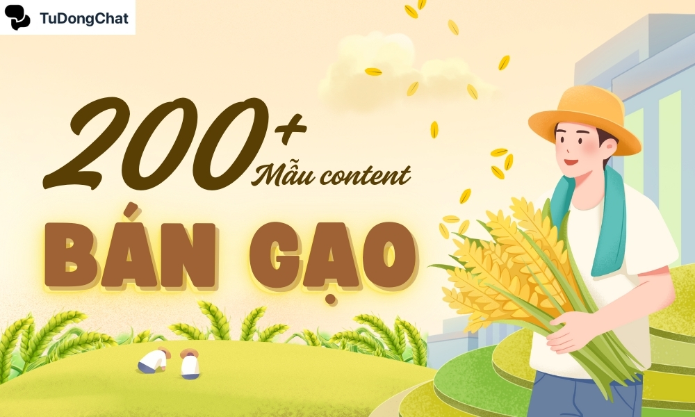 200+ Mẫu content bán gạo độc đáo thu hút TRIỆU khách hàng