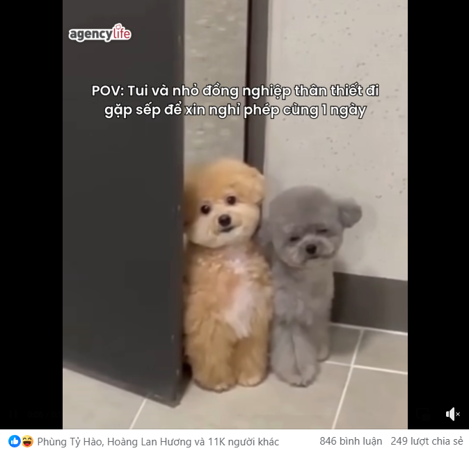 100 Mẫu content meme hóm hỉnh, bắt trend “Sộp” nhất 2025 79 Mẫu content meme hóm hỉnh, bắt trend “Sộp” nhất 2025